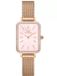 Daniel Wellington - DW00100669 - Polshorloge - Dames - Kwarts - QUADRO