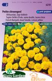 Sluis Garden Afrikaan Petite Jaune