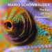 Suburban Mario Schönwälder The Eye of the Chameleon