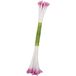 PME Stempels voor suiker bloemen Medium Pearl Lila (Pack van 50)