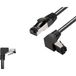 BKL Electronic 144016 Câble réseau RJ45, câble de brassage CAT 8.1 S/FTP 0,5 m Noir Sans halogène 1 pièce(s)