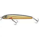Abu Garcia Beast Hi-Lo zinkmachine leurre de pêche