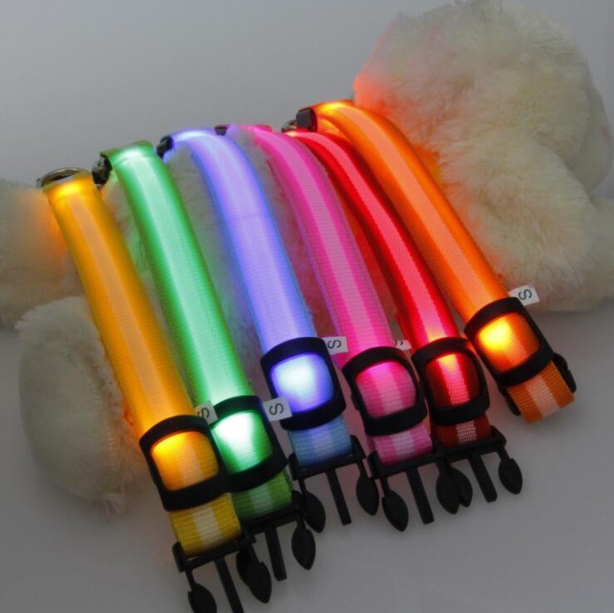 Topco Sales Halsband voor hond met ledlamp - Maat M