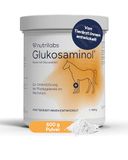 NutriLabs Glucosaminol® equin gewrichtspoeder voor jonge paarden 600 g