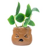 Silver Buffalo Harry Potter Mandrake Faux Plant