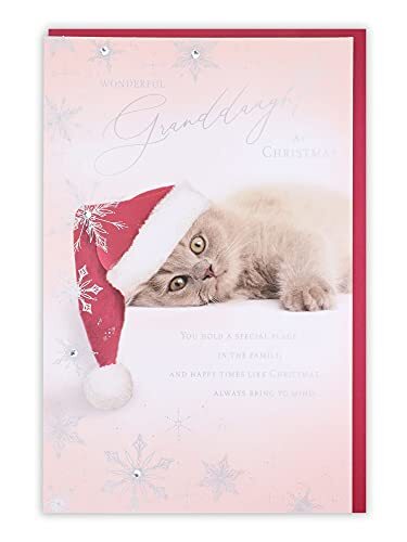 Clintons Clintons: Kitten In Santa Hat Kleindochter Kerstkaart