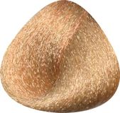 Toujours Trend Color 8.3 Light Golden Blonde