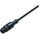 binder 77 3419 0000 50003-0200-20 Connecteur capteur/actionneur, assemblé M12 3 broches, droit, 2m