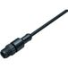 binder 77 3419 0000 50003-0200-20 Connecteur capteur/actionneur, assemblé M12 3 broches, droit, 2m