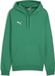 PUMA teamGOAL Casuals hoody-sweatshirt voor heren, 658618 groen