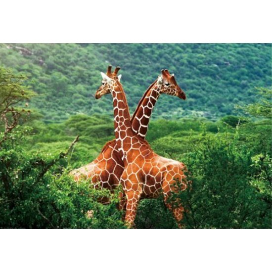 - Placemat giraffe 3D 28 x 44 cm