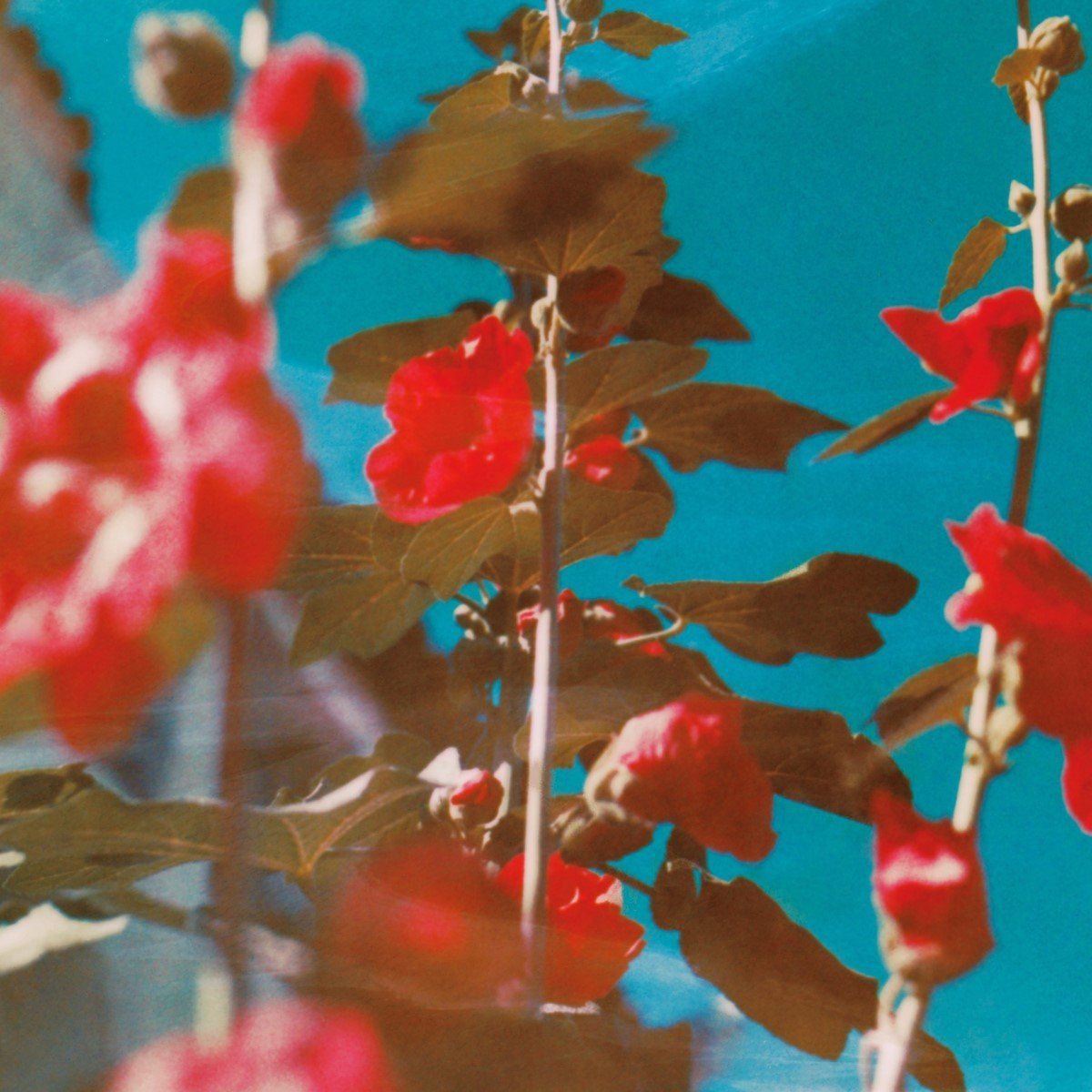 Universal Music Nederland Breathe (LP)