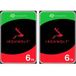 Seagate IronWolf NAS 2 x 6 To Bundle, Disque dur, (SATA 6