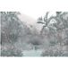 Papier peint panoramique Forêt tropicale 195 cm X 130 cm