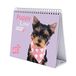 Erik® Studio Pets Dogs Deluxe tafelkalender 2020 (17x20 cm)