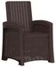 Chaise de jardin inclinable en imitation rotin marron