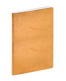 MINISTER COLOR ML Susan gold 2027 Hardcover