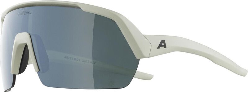 Alpina Turbo HR Q-Lite Goggles, Grey
