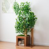 Kein Marken-/Fanartikel Kratzboom Baumform 158 cm hoog (Groen)