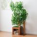 Kein Marken-/Fanartikel Kratzboom Baumform 158 cm hoog (Groen)