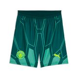 PUMA Sportbroek neongroen / donkergroen