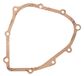 Oil Icecat Oil seal, manual transmission