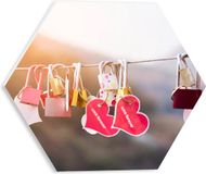 Merkloos / Sans marque PVC Hexagon Foto - Liefdes Slotjes aan Koord op Brug - 30x26.1 cm - Forex - Roze/Rood/Wit/Goud