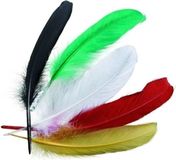 Glorex Hobby Gekleurde sierveren of indianenveren - 16 cm - 15x stuks - knutselen