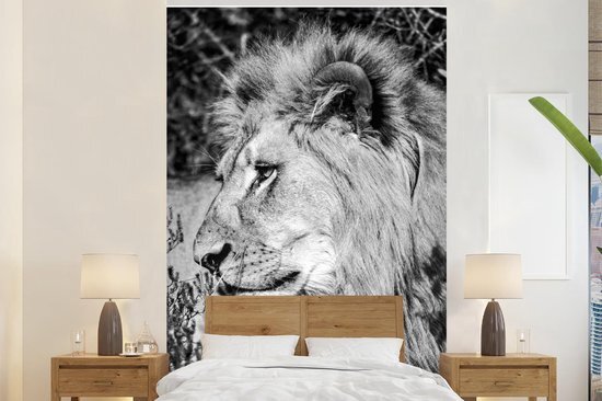 Nr1Wallpaper Behang - Fotobehang Leeuw - Dieren - Wild - Breedte 145 cm x hoogte 220 cm