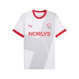 PUMA Deense handbalbond 24/25 uitshirt voor Heren, Grijs/Wit, Maat L