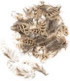 Glorex Veren, naturel, 5-12 cm