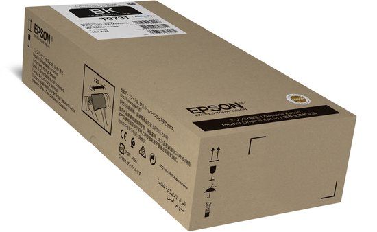 Epson C13T97310N inktcartridge Zwart