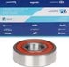 Piaggio Roulement à billes radial 17x40x12mm, type 6203.RS, numéro d'article 840277