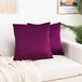 Elegant Comfort Fluweelzachte effen, decoratieve, vierkante kussenslopen, set van 2 kussenslopen voor bank, slaapkamer, auto, 20 x 20 cm, aubergine/paars