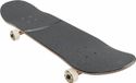 Globe G2 On the Brink Skateboard Shelter 8.0