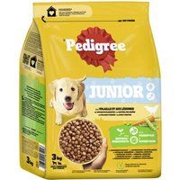 PEDIGREE Junior Droogvoer met gevogelte en groenten voor puppy's, 3 kg