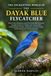 THE Dayak Blue Flycatcher: The Enchanting World of the Dayak Blue Flycatcher