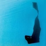 Konkurrent Unwed Sailor - High Remembrance (LP) (Coloured Vinyl)