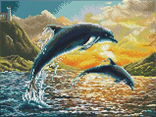 Diamond Dotz Diamond Dotz Squares Dolfijn Sunset ca. 31.5 x 42 cm groot Diamond Painting