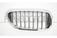 PRASCO Kühlergitter BM0522003 vorne rechts | Compatibel met: BMW 5, 5 Touring