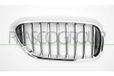 PRASCO Kühlergitter BM0522003 vorne rechts | Compatibel met: BMW 5, 5 Touring