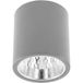 GTV Drago Cilindrische plafondlamp, grijs, aluminium, E27, 60W, 133x148mm, IP20