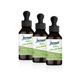Increase Neem 3, nummer 2 actie liposomale akkerpaardestaart druppels hoge dosis - (180.000 mg paardestaart in 3 flessen) 2000 mg paardestaart per dagelijkse dosis -MCT-olie -hoge biologische beschikbaarheid