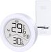 GreenBlue GB162 Draadloos Weerstation