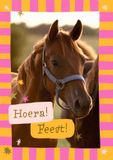 Hallmark Wenskaart uitnodiging paarden 6 stuks
