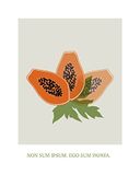 Komar Muurschildering - Cultivated Papaya - Grootte: 40 x 50 cm