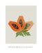 Komar Muurschildering - Cultivated Papaya - Grootte: 40 x 50 cm