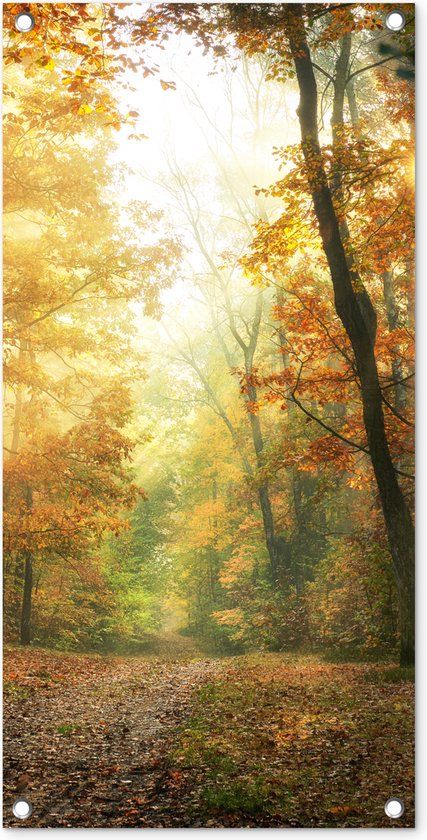 GreatGardenPosters Tuinposter Bos - Herfst - Zon - Landschap - Natuur - Bomen - Bladeren - 40x80 cm - Wanddecoratie Buiten - Tuinposter - Tuindoek - Schuttingposter - Tuinschilderij