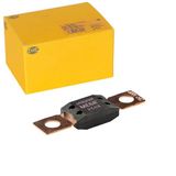 HELLA VALUEFIT Zekering - MEGA - 250A - Rose - Aantal: 1 - 8JS 742 902-051