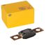 HELLA VALUEFIT Zekering - MEGA - 250A - Rose - Aantal: 1 - 8JS 742 902-051
